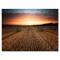 Designart - Landscape With A Field Full of Hay Bales At Sunset - Farmhouse Canvas Wall Art Print